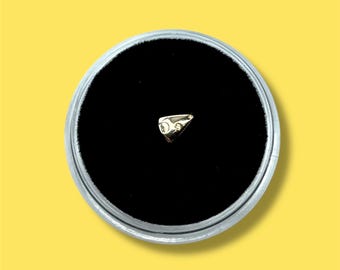 Solid 18k Gold Cheese Tooth Gem Charm