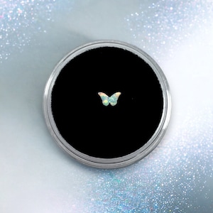Puede incluir: Un pequeño amuleto de mariposa de ópalo iridiscente en un recipiente redondo negro.