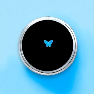 Può includere: Un piccolo ciondolo a forma di farfalla blu si trova in un contenitore circolare nero con un bordo argentato.
