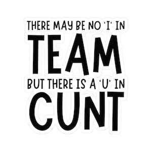 No I In Team, Adult Fun Sarcastic Kiss Cut Sticker, Funny Gift Water Bottle Laptop Notebook Decal Gift Idea Cool Workplace Coworker Present