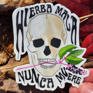 May include: A white sticker with a black skull and a green plant with purple berries. The text "Hierba Mala Nunca Muere" is written in black around the skull.