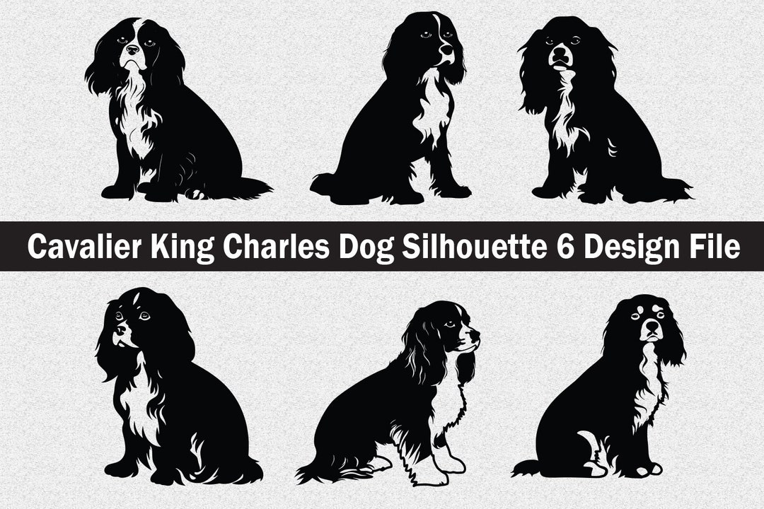 Cavalier King Charles Dog Silhouette Svg ,cavalier King Dog Svg,dog
