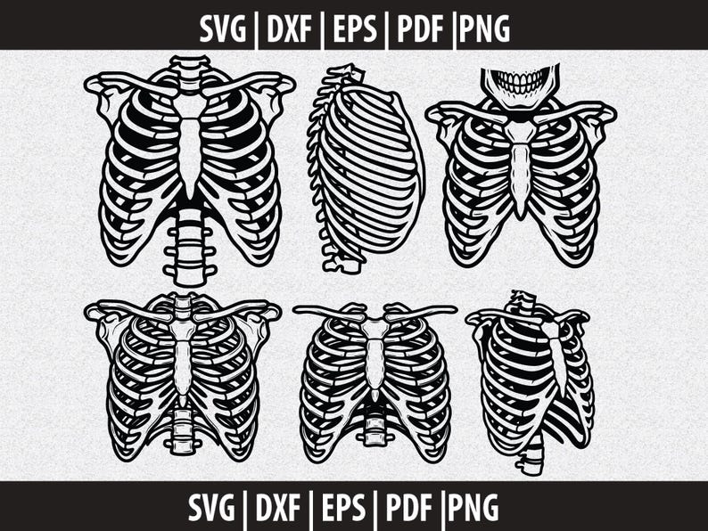 Printable Rib Cage Pattern Rib Cage SVG, Chest Ribs PNG, Human Rib Clipart Black White, Anatomy ...