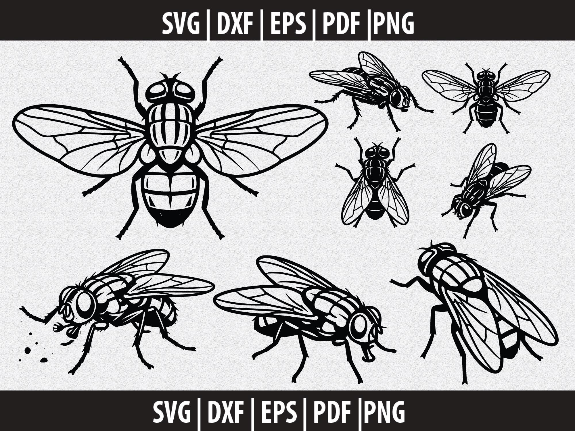 Fly Svg Fly Insect SVG, Bug Fly PNG, Insect Clipart Black White, Entomology ...