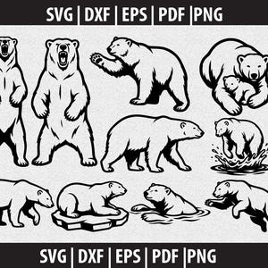 May include: A collection of black and white bear illustrations in different poses. The image shows bears standing, walking, and swimming, with some featuring cubs. The text "SVG | DXF | EPS | PDF | PNG" is also included.