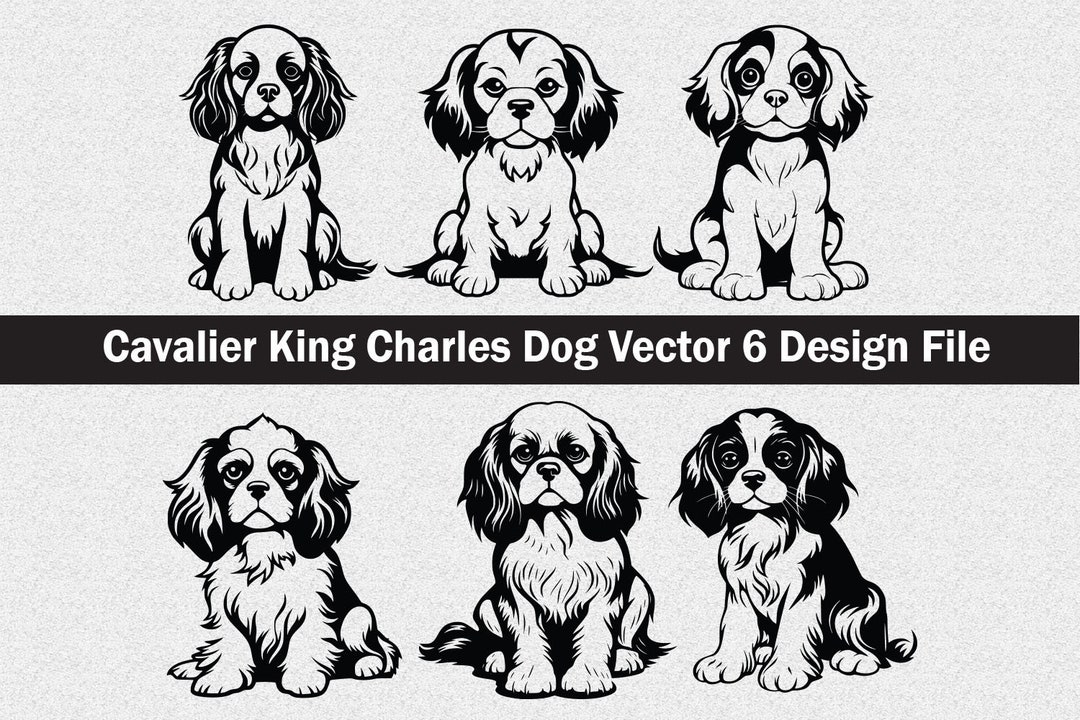 Cavalier King Charles Dog Head Silhouette Svg ,cavalier King Charles