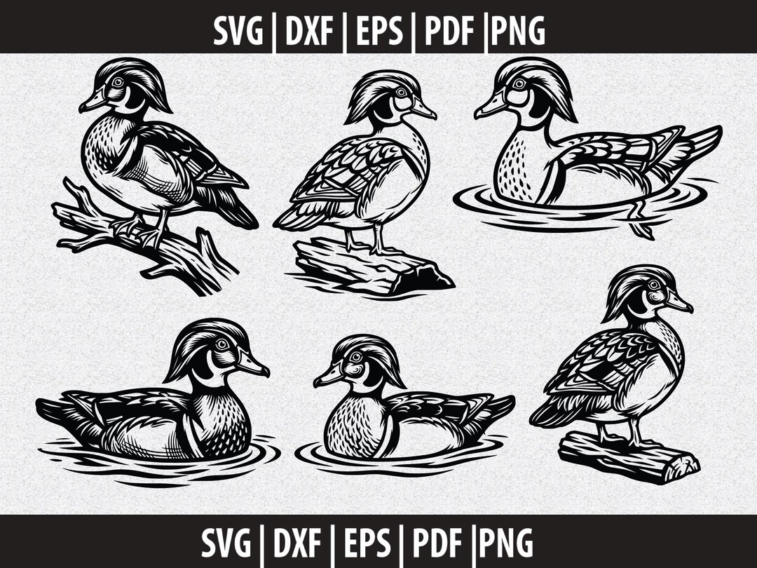 Wood Duck Svg Bundle | Waterfowl Bird Vector Clipart Cut File Set ...
