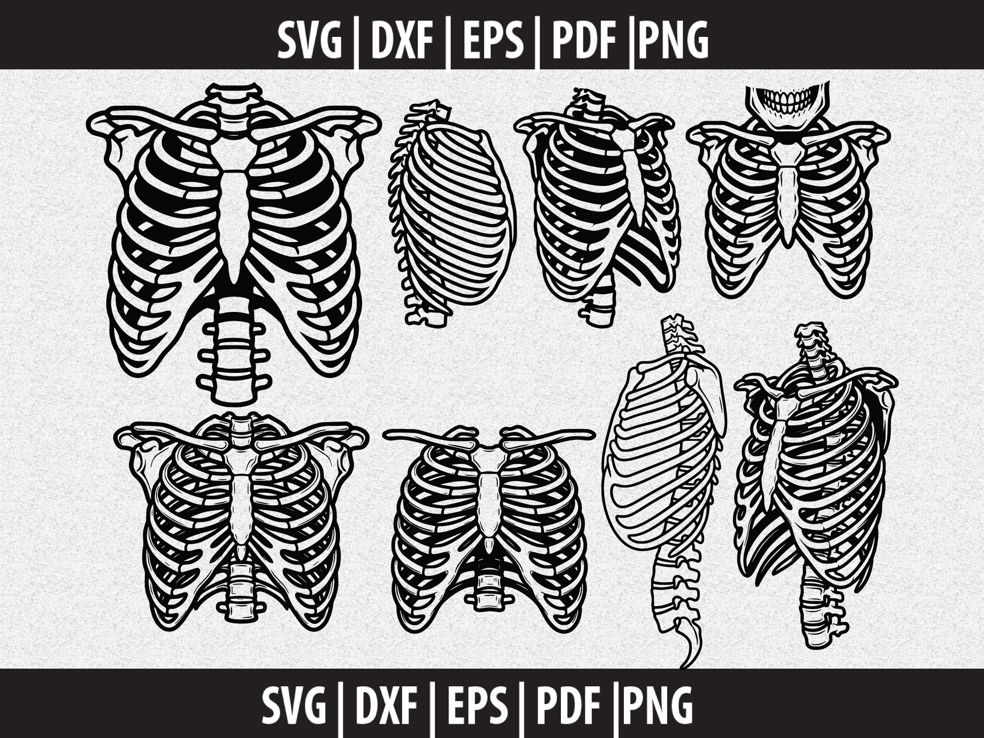 Rib Cage SVG, Chest Ribs PNG, Human Rib Clipart Black White, Anatomy ...
