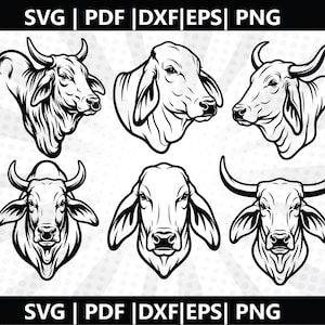 May include: A collection of six black and white bull head illustrations in a vector format. The images showcase detailed line art of the animals' features. The top and bottom of the image include the text "SVG | PDF | DXF | EPS | PNG".