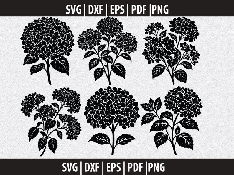 Hydrangea Silhouette Svg | Clean Floral Cut File | Botanical Svg DXF ...