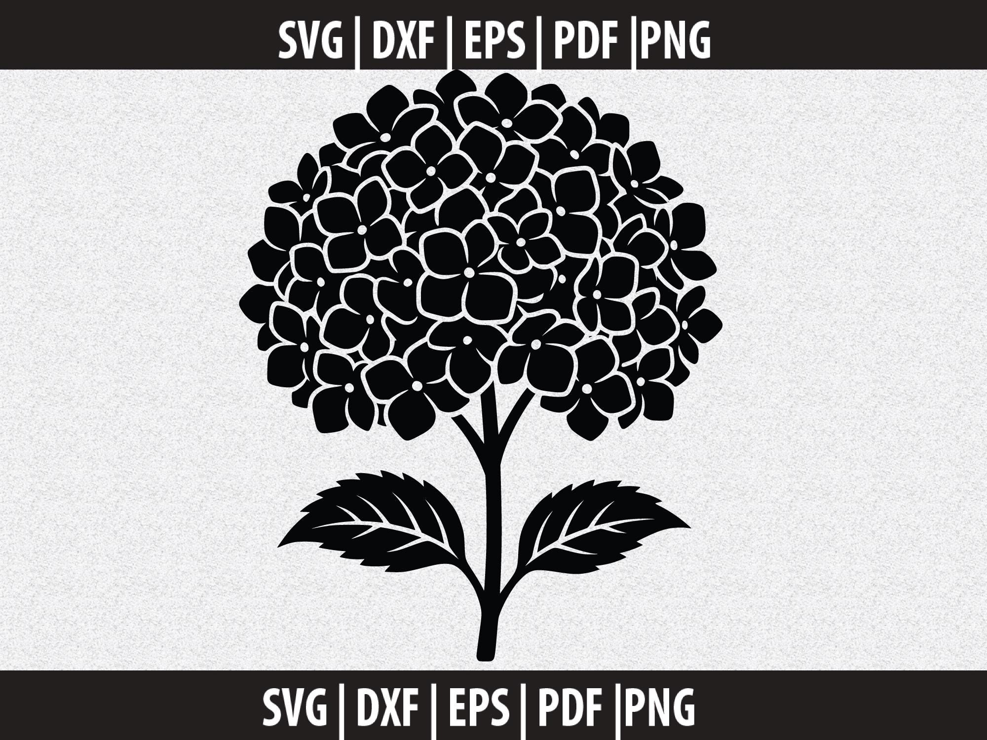 Hydrangea Silhouette Svg | Clean Floral Cut File | Botanical Svg DXF ...