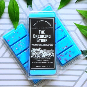 The Oncoming Storm | Salty Ocean Waters + Ozone + Wet Earth + Oakmoss + Florals and Spices | Natural Soy Wax Melt Snap Bar