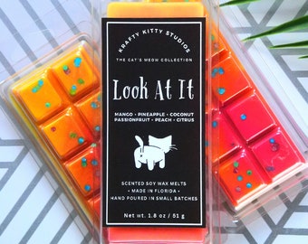 Look At It | Mango + Pineapple + Coconut + Passionfruit + Peach & Citrus | Soy Wax Melt Snap Bar | Cat’s Meow Collection