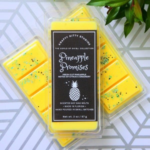 Pineapple Promises | Fresh Pineapple + Hint of Green & Citrus | Wax Melt Snap Bar | Natural Soy Wax Melt Snap Bar