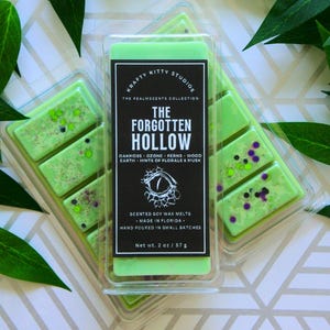 The Forgotten Hollow | Oakmoss + Ozone + Ferns + Wood + Earth + Hints of Florals & Musk | Natural Soy Wax Melt Snap Bar | Realmscents