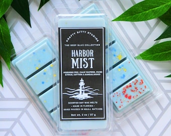 Harbor Mist: Morning Fog, Calm Waters, Musk, Citrus, Cotton & Sandalwood | Soy Wax Melt Snap Bar