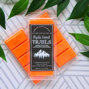 Mystic Forest Trails: Cedar, Pine, Mossy Earth, Clove & Smoky Embers | Soy Wax Melt Snap Bar