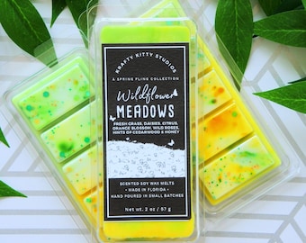 Wildflower Meadows: Fresh Grass, Daisies, Citrus, Orange Blossom, Wild Roses, Hints of Cedarwood & Honey | Spring Soy Wax Melt