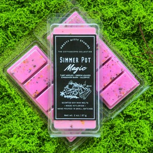 Simmer Pot Magic: Tart Apples, Green Leaves, Cinnamon Bark & Allspice | Natural Soy Wax Melt