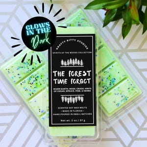 The Forest Time Forgot: Warm Earth, Moss, Grass, Hints of Cedar, Spruce, Pine, & Herbs | Glow-in-the-Dark Soy Wax Melt