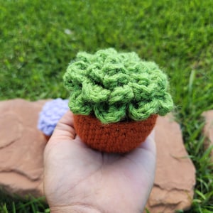 Handmade Faux Succulent Decor | Perfect Gift for Plant Lovers | Home / Work Desk and Shelf Decor | Table Top Potted Plant