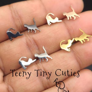 Playful Cats roestvrijstalen oorknopjes: pushbacks, in goud, zwart, zilver en roségoud.