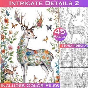 Intricate Details 2 Nature Grayscale Adult Colouring Book with Full Colour Digital Files Included, Commercial Use for Products Included