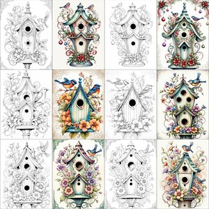 May include: A digital coloring book page featuring 16 different birdhouse designs. Each birdhouse is surrounded by intricate floral details and has a variety of birds perched on the branches. The birdhouses are painted in a variety of colors, including blue, green, red, and yellow.