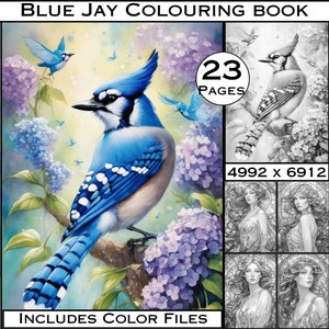 23 BlueJay Grayscale Coloring Pages for Adults from LargeDigitalPrints Digital Colouring Pages, Download coloring books adult coloring book