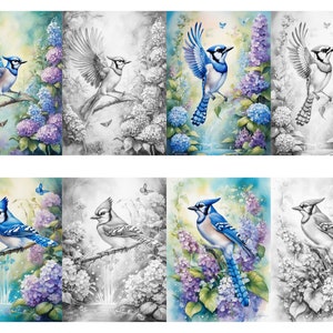 23 Bluejay Grayscale Coloring Pages - Il 300x300.5394887254 D8uj 