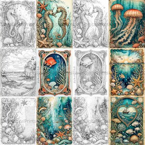 May include: A collage of 12 images featuring underwater scenes with seahorses, jellyfish, and fish. Some images are in color, while others are in black and white.