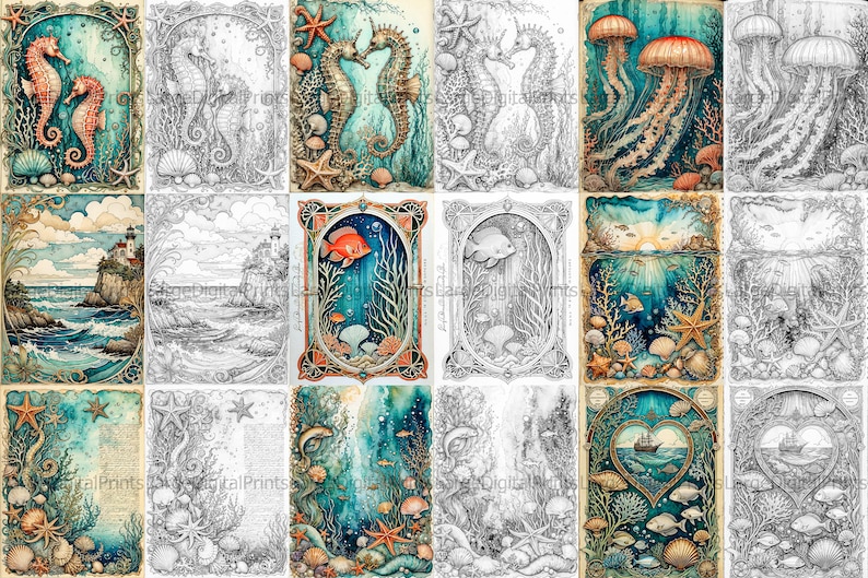 May include: A collage of 12 images featuring underwater scenes with seahorses, jellyfish, and fish. Some images are in color, while others are in black and white.