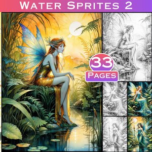 Könnte beinhalten: Ein Malbuch mit 33 Seiten Illustrationen von Feen in einer Wasserlandschaft. Der Umschlag zeigt eine Fee mit blauen Flügeln und einem goldenen Kleid, die an einem Teich sitzt.