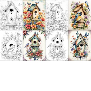 May include: A set of 10 printable coloring pages featuring birdhouses with intricate details and floral designs. Each page includes a colored version and a black and white outline for coloring.