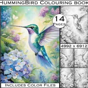 Hummingbird Grayscale Coloring Pages for Adults from LargeDigitalPrints Digital Colouring Pages, Download coloring books adult coloring book