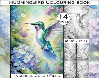 Kolibri Graustufen Ausmalbilder für Erwachsene (Digitaler Download)