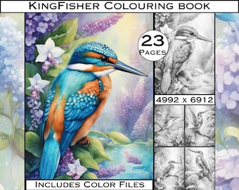 Kingfisher Grayscale Coloring Pages for Adults from LargeDigitalPrints Digital Colouring Pages, Download coloring books adult coloring book