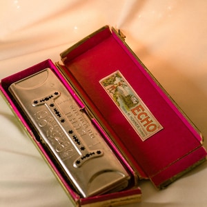 Echo Harmonica Hohner - Etsy