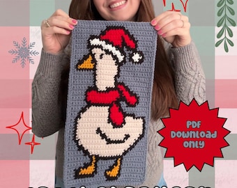 Winter Christmas Crochet Tapestry Pattern, Santa Goose Wall Hanging Pattern, Santa Hat Crocheted Decor, Silly Goose Christmas, Dorm Decor
