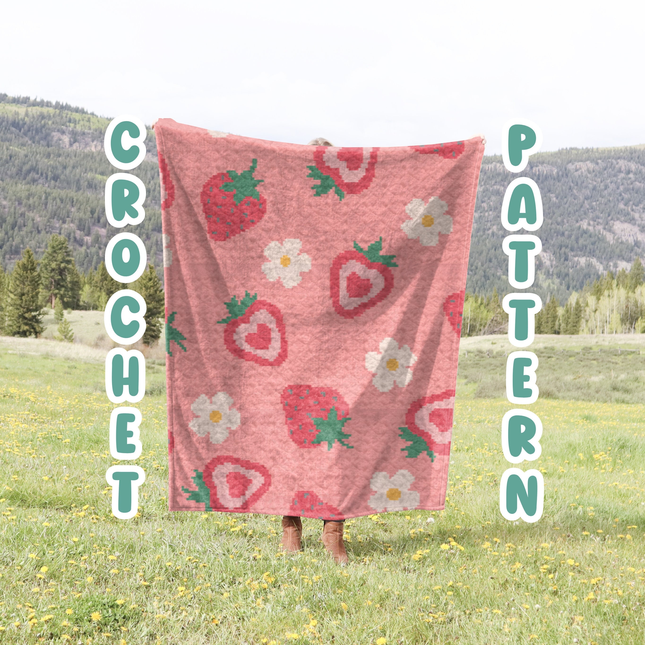 Crochet Graphgan Pattern, Strawberry Corner to Corner Crochet Blanket Pattern, Fruit Crochet, Cute Summer Tapestry Crochet Blanket Pattern