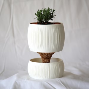 Textured matte white ribbed pot planted with a small green succulent, set over a lower bowl on soft white fabric, a self watering pot with a clean minimal look.