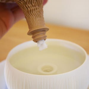 Angled view into a matte cream-white bowl of a self watering planter, with the brown cone-shaped core angled in from above, on a warm amber-brown background.