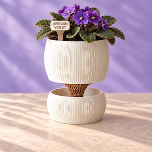 May include: An African violet plant with purple flowers and green leaves sits in a white, vertically ribbed, two-part self-watering planter. A small, light-colored plant marker with the text "AFRICAN VIOLET" is inserted into the soil.