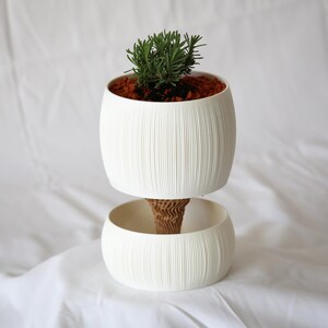 Textured matte white ribbed self watering pot holding a small green plant in reddish-brown soil, resting on a matching lower bowl against white fabric.