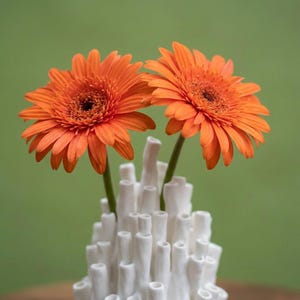 Matte white sculptural coral vase holding two orange gerbera flowers against a soft green background, styled as a bud vase for modern decor.