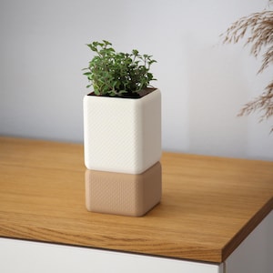 Puede incluir: Una maceta cuadrada de dos tonos con una superficie texturizada. La sección superior es blanca y la inferior es marrón. La maceta contiene una pequeña planta verde. La maceta está sobre una superficie de madera.