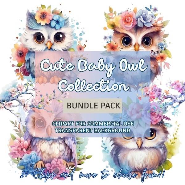 Cute Baby Owl Clipart Bundle, Transparent Background, Commercial PNG, Owl and flowers, with freebies!