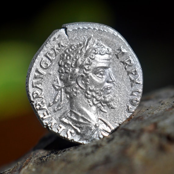 Silver Roman Denarius of Septimius Severus, Lucivs, father of Caracalla & Geta, Julia Domna, Dynastic Solid Silver Coin