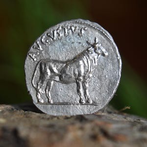 Silver Roman Denarius of Augustus Caesar (Octavian) with Heifer / Avgvstvs Caesar Solid Silver Coin