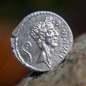Silver Roman Denarius of Caius Julius Caesar with Bull-Calf, Divus Jvlivs Caesar Solid Silver Coin